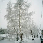 Fotogalerie z lyžařského výcvikového kurzu Javorový vrch 20.-.25.2.2005