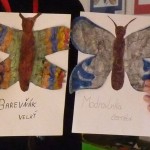 Sbírky motýlů v galerii