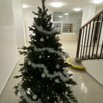 Vánoce v naší škole